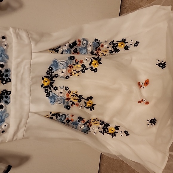 Floral Embroidered Sheer Dress - Picture 2 of 4